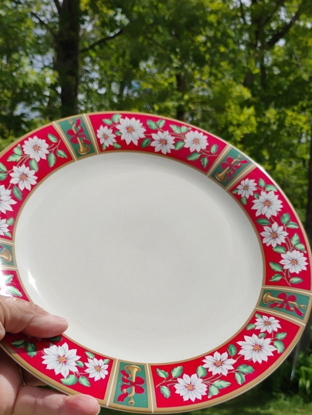 Dinnerware Charlton Hall 10 1/2" Plate VNPLC